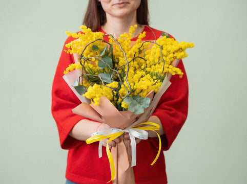 Quanto costa la mimosa l'8 marzo a Torino? Prezzi 2026 — Emozioni Fiori Torino