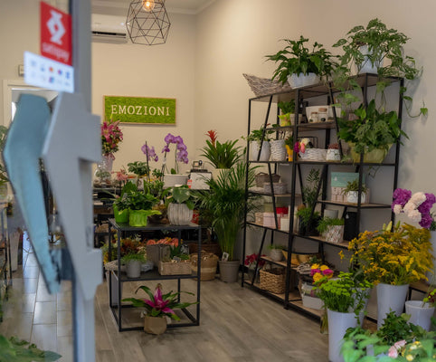 Fiorista a Torino aperto la domenica: orari, consegne e idee regalo last-minute