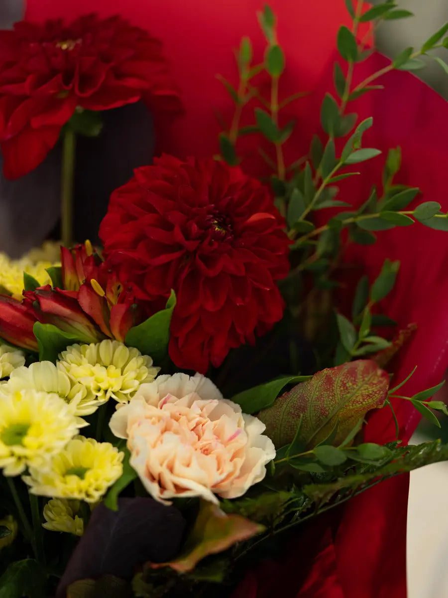 Bouquet con Dalie Rosse, Rose Crema e San Carlini Gialli | Consegna a Torino Emozioni