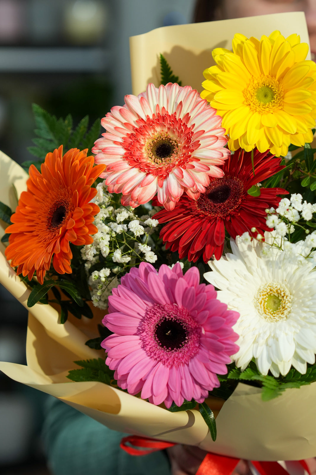 Bouquet di Gerbere Colorate | Consegna a Torino