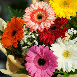 Bouquet di Gerbere Colorate | Consegna a Torino