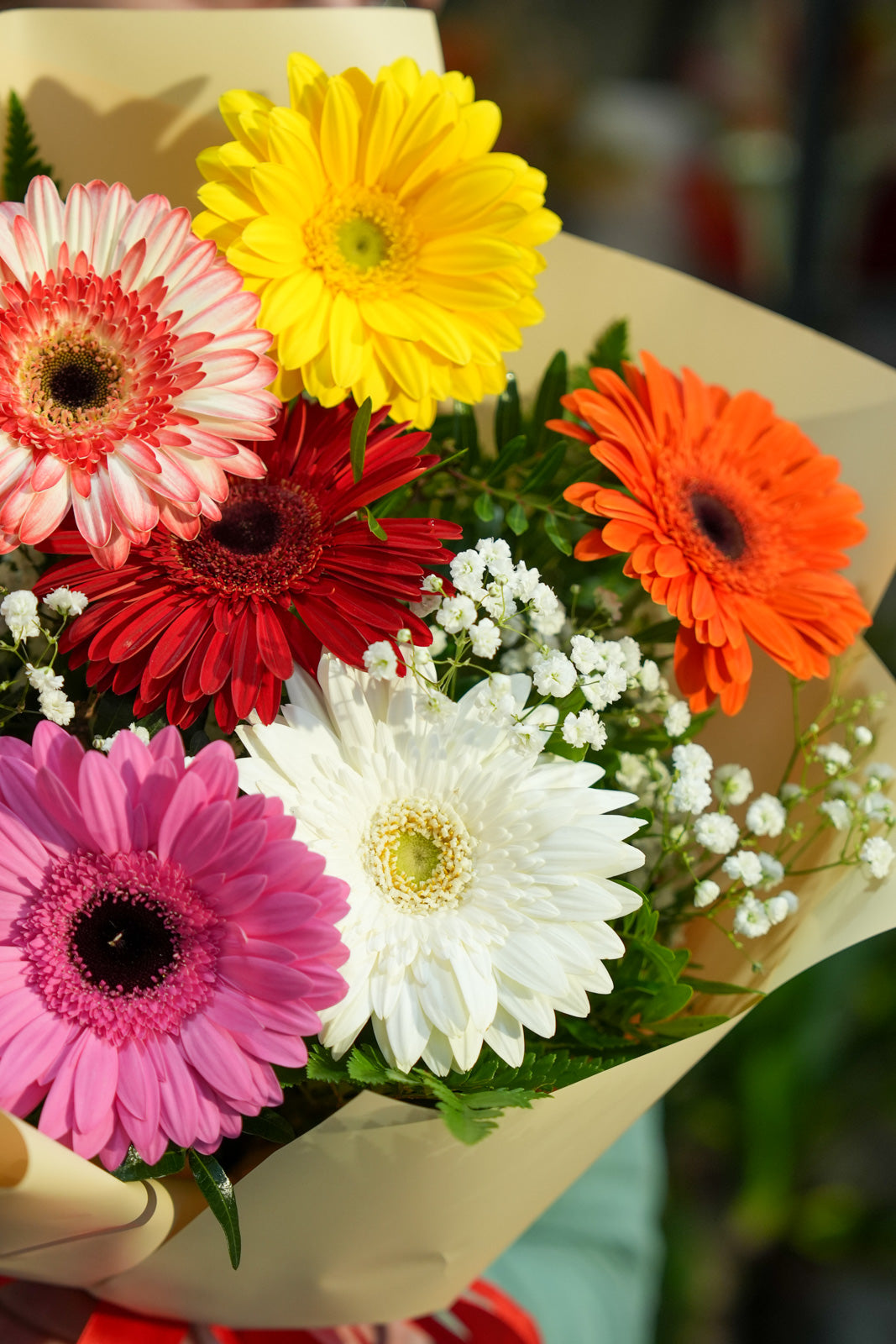 Bouquet di Gerbere Colorate | Consegna a Torino