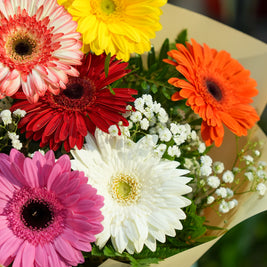 Bouquet di Gerbere Colorate | Consegna a Torino