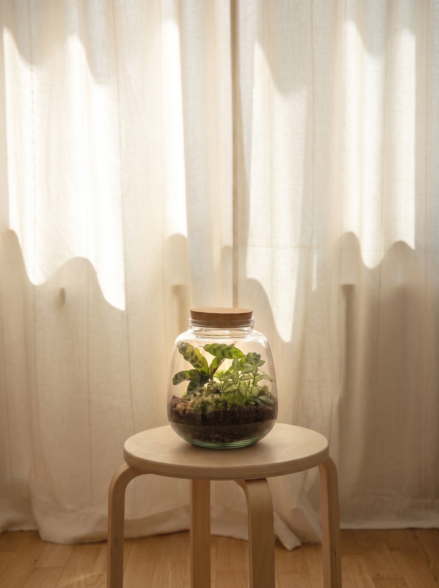 Terrarium in vetro | Emozioni Fiori Torino