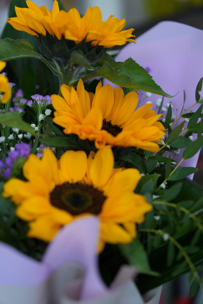 Bouquet di girasoli freschi – Consegna a Torino
