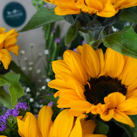 Bouquet di girasoli freschi – Consegna a Torino
