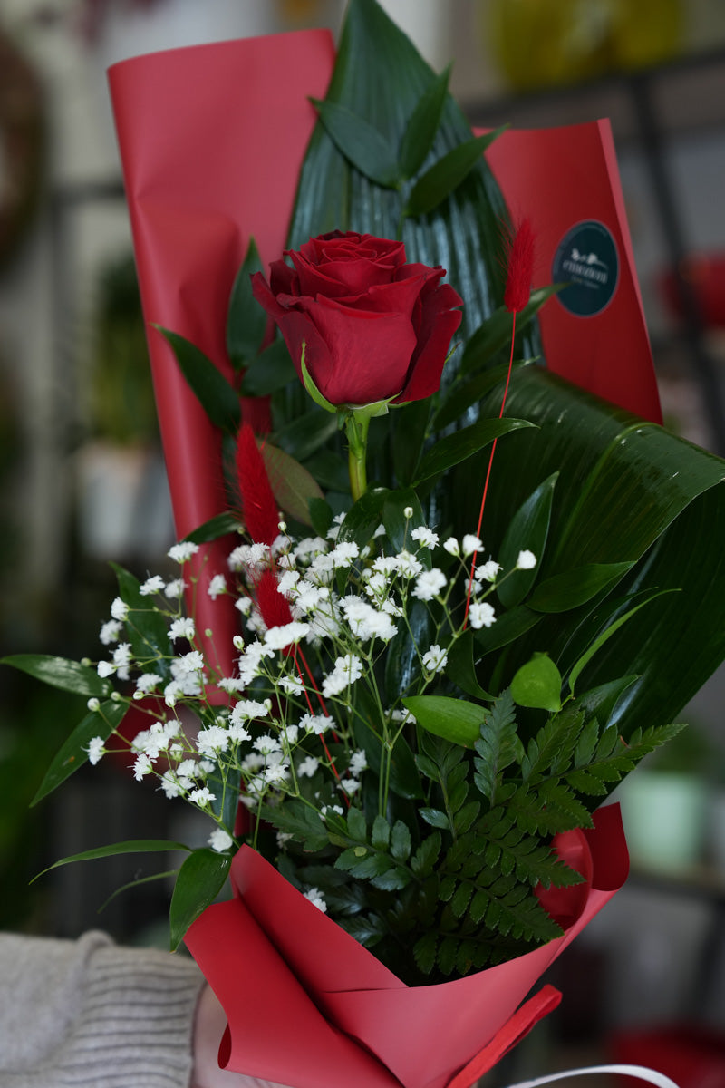 Rose Rosse Confezionate – scegli da 1 a 12 Rose | Consegna a Torino