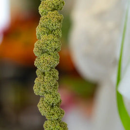 Bouquet Bianco e Verde con Rose e santini | Consegna a Torino Emozioni