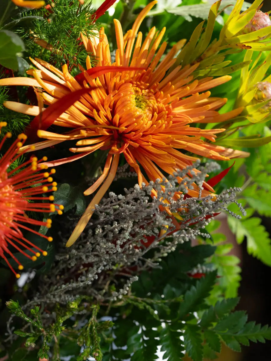 Bouquet con Crisantemi Arancio e Fiori di Stagione | Consegna a Torino Emozioni