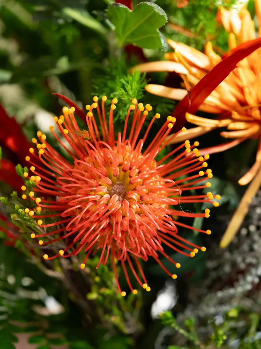 Bouquet con Crisantemi Arancio e Fiori di Stagione | Consegna a Torino Emozioni