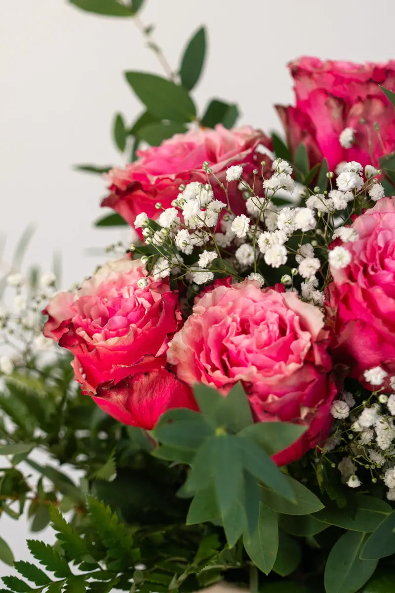 Bouquet di Rose Rosa e Gypsophila | Consegna a Torino Emozioni