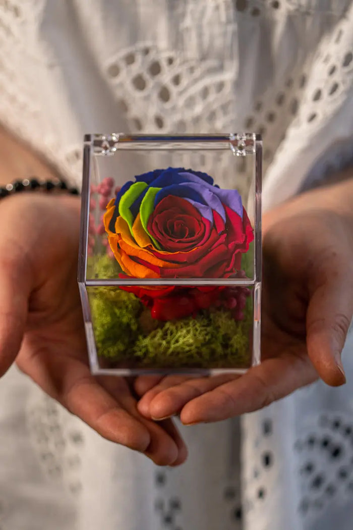 Rosa Stabilizzata Arcobaleno in Box Acrilico Emozioni