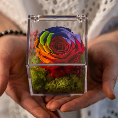 Rosa Stabilizzata Arcobaleno in Box Acrilico Emozioni