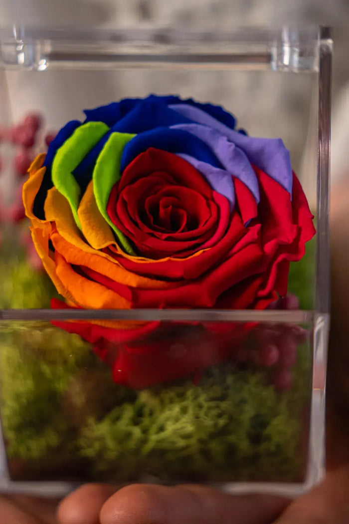 Rosa Stabilizzata Arcobaleno in Box Acrilico Emozioni