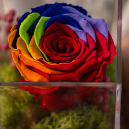 Rosa Stabilizzata Arcobaleno in Box Acrilico