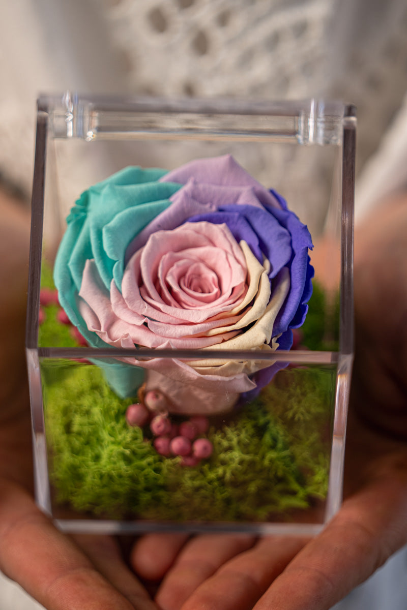 Rosa Stabilizzata Pastello Multicolore in Box | Regalo Elegante