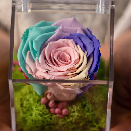 Rosa Stabilizzata Pastello Multicolore in Box | Regalo Elegante Emozioni