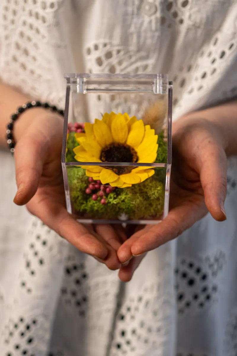 Girasole Stabilizzato in Box Emozioni