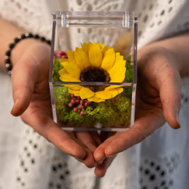 Girasole Stabilizzato in Box Emozioni