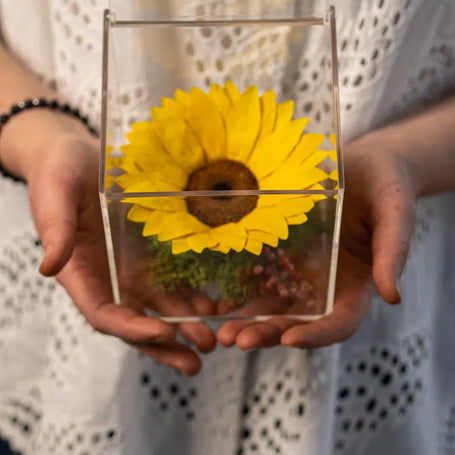 Girasole Stabilizzato in Box Emozioni