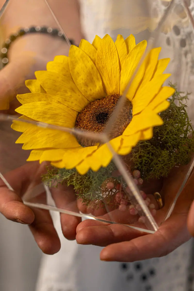 Girasole Stabilizzato in Box Emozioni