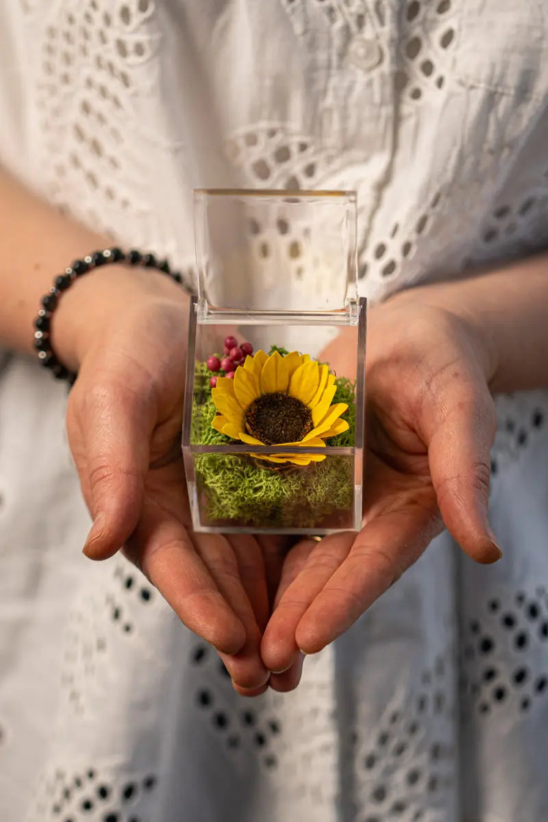 Girasole Stabilizzato in Box Emozioni