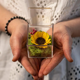 Girasole Stabilizzato in Box Emozioni