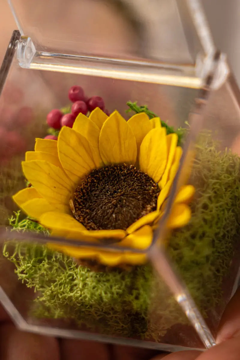 Girasole Stabilizzato in Box Emozioni