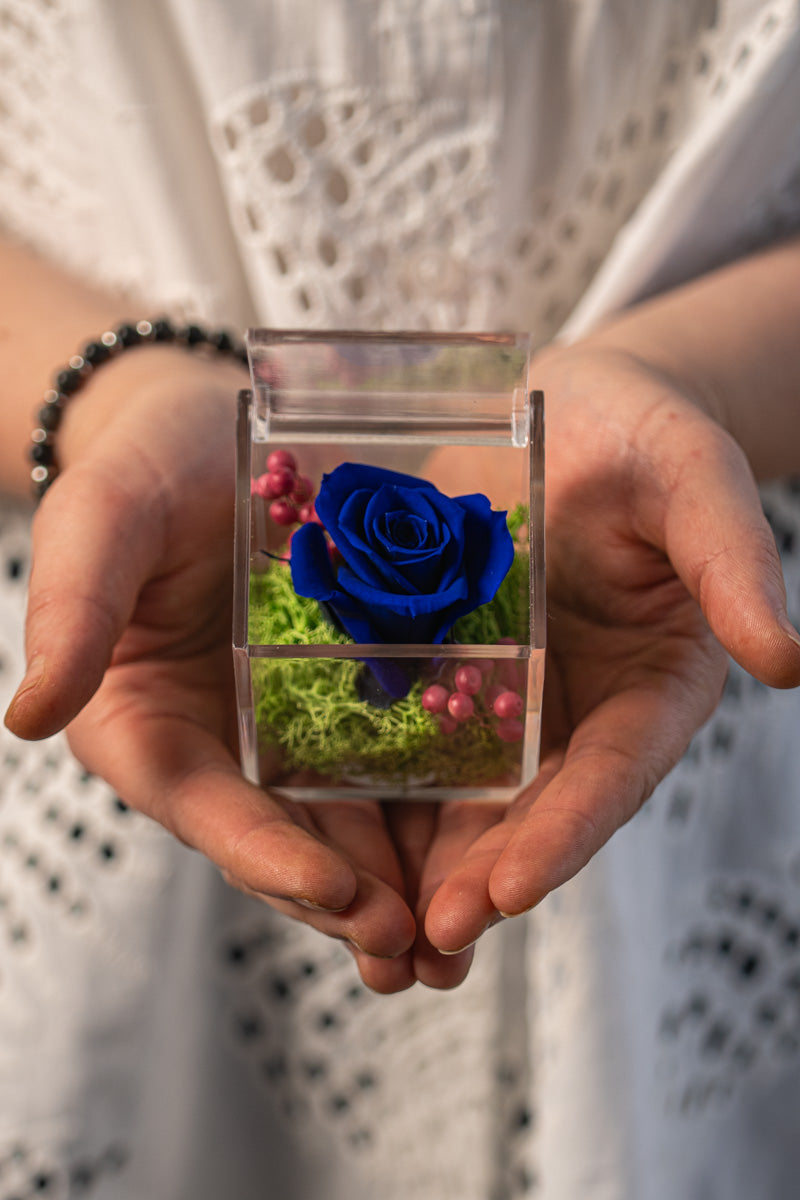 Rosa Stabilizzata Blu in Scrigno | Idea Regalo
