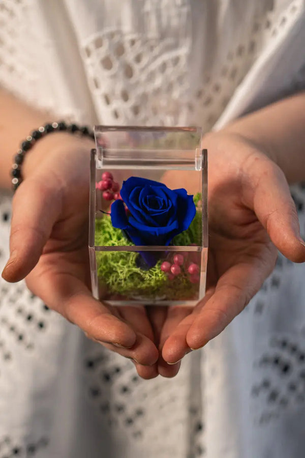 Rosa Stabilizzata Blu in Scrigno | Idea Regalo Emozioni