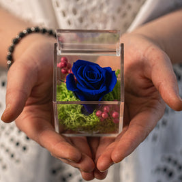 Rosa Stabilizzata Blu in Scrigno | Idea Regalo