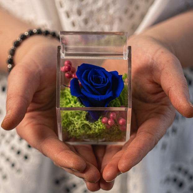Rosa Stabilizzata Blu in Scrigno | Idea Regalo