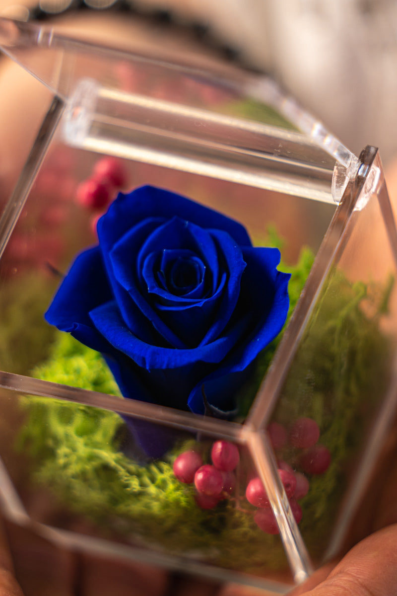 Rosa Stabilizzata Blu in Scrigno | Idea Regalo