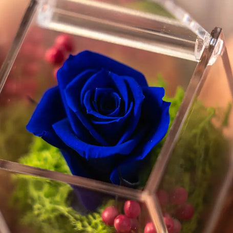 Rosa Stabilizzata Blu in Scrigno | Idea Regalo Emozioni