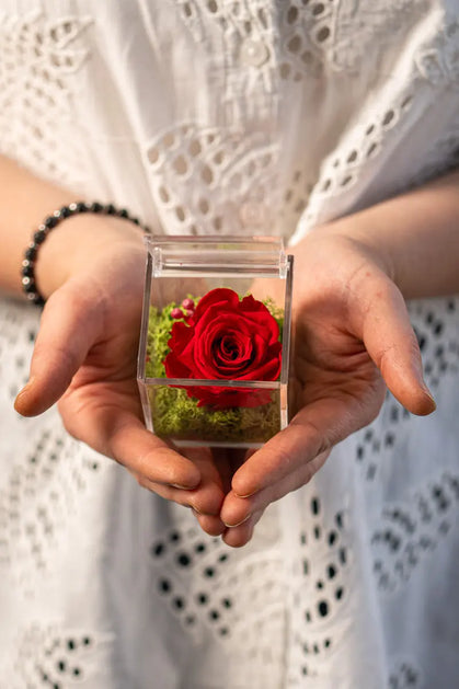Rosa Stabilizzata Rossa in scrigno Emozioni