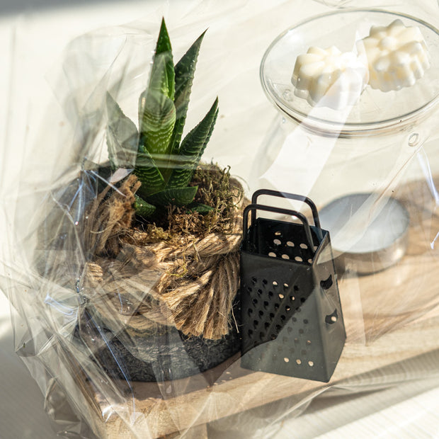 Kit Bruciatore con Tart Profumate e Piantina – Idea Regalo Artigianale