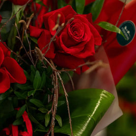 Bouquet di Rose Rosse San Valentino - Varie Dimensioni Emozioni