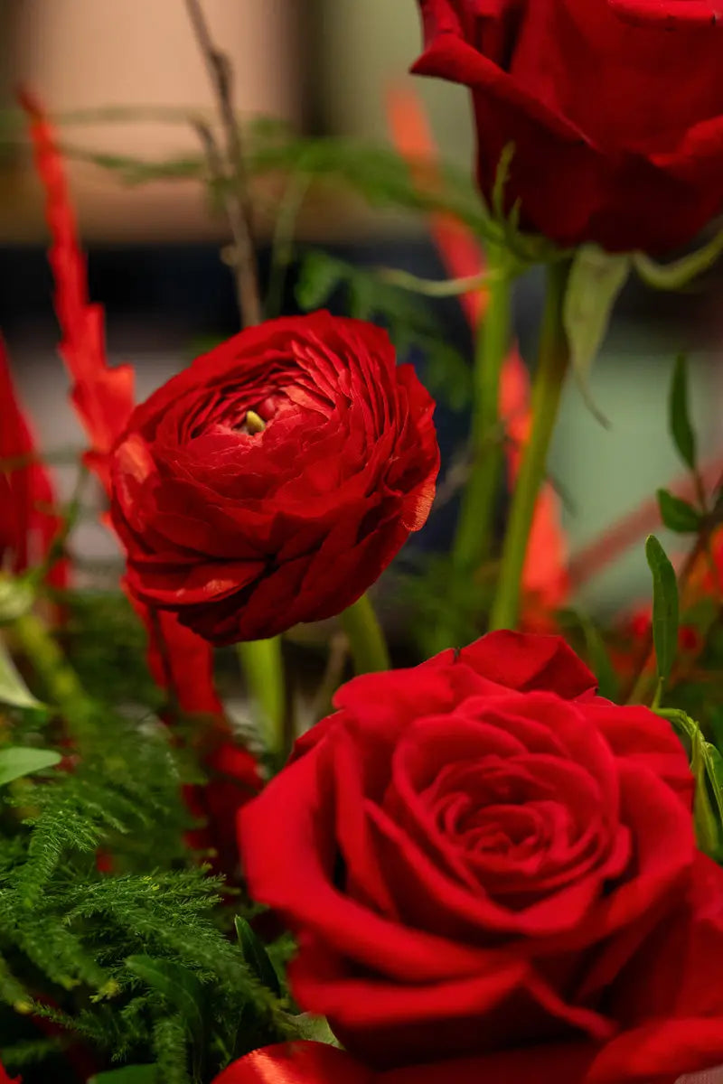 Box di Rose Rosse San Valentino - Emozioni Fiori Torino Emozioni