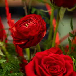 Box di Rose Rosse San Valentino - Emozioni Fiori Torino Emozioni