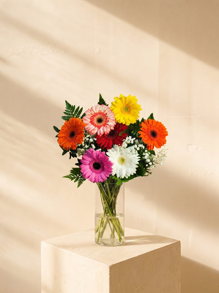 Boscaglia, gerbere colorate nel vaso — Emozioni Fiori Torino