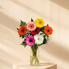Boscaglia, gerbere colorate nel vaso — Emozioni Fiori Torino