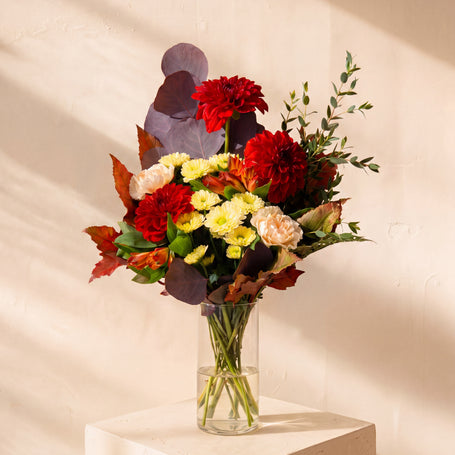 Frondaia, dalie rosse e rose crema nel vaso — Emozioni Fiori Torino