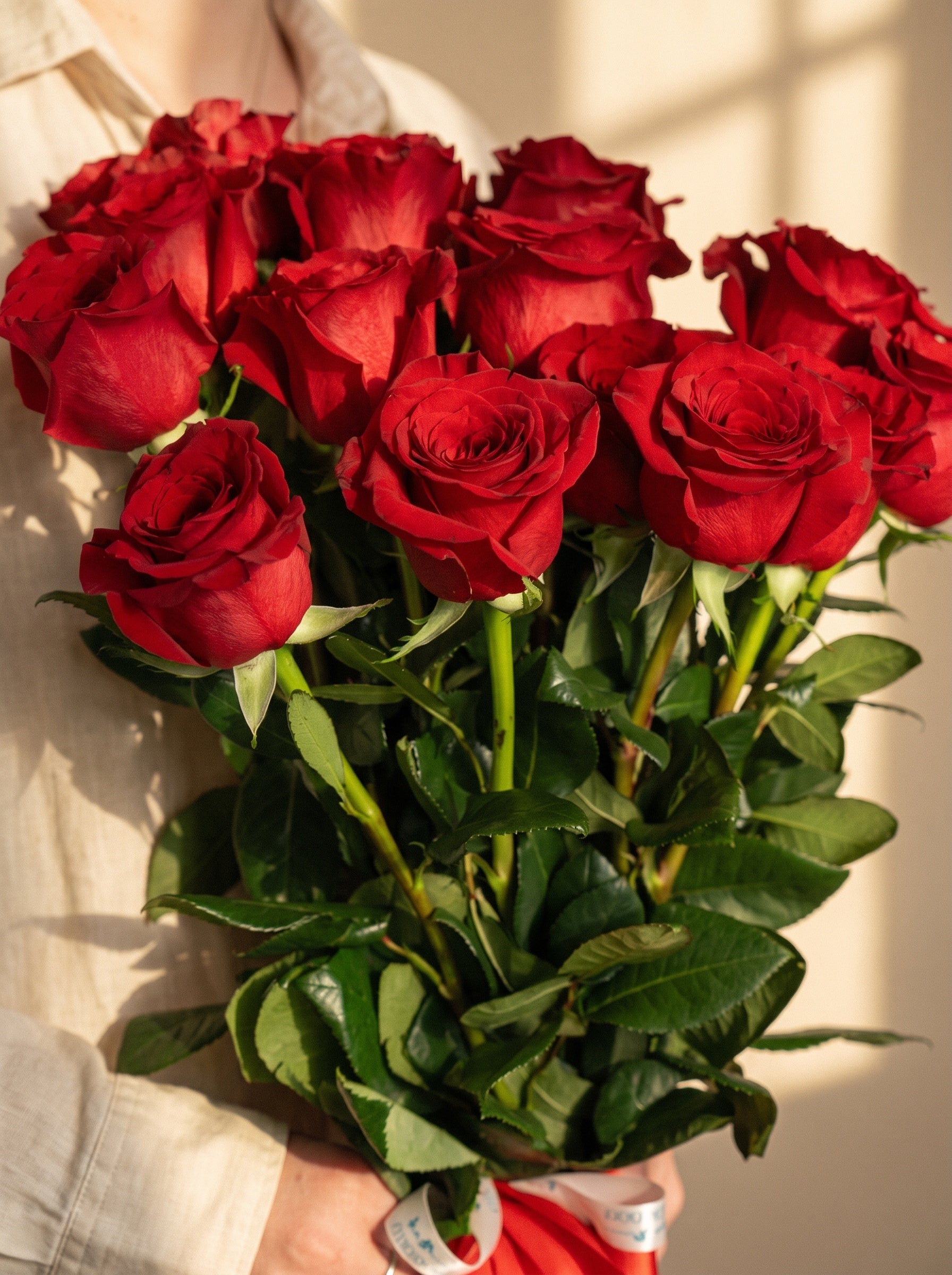 Mazzo di rose rosse a gambo lungo — Torino