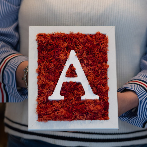 Cornice Personalizzata con Iniziale in Muschio Stabilizzato