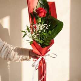 Rosa rossa singola confezionata — Emozioni Fiori Torino