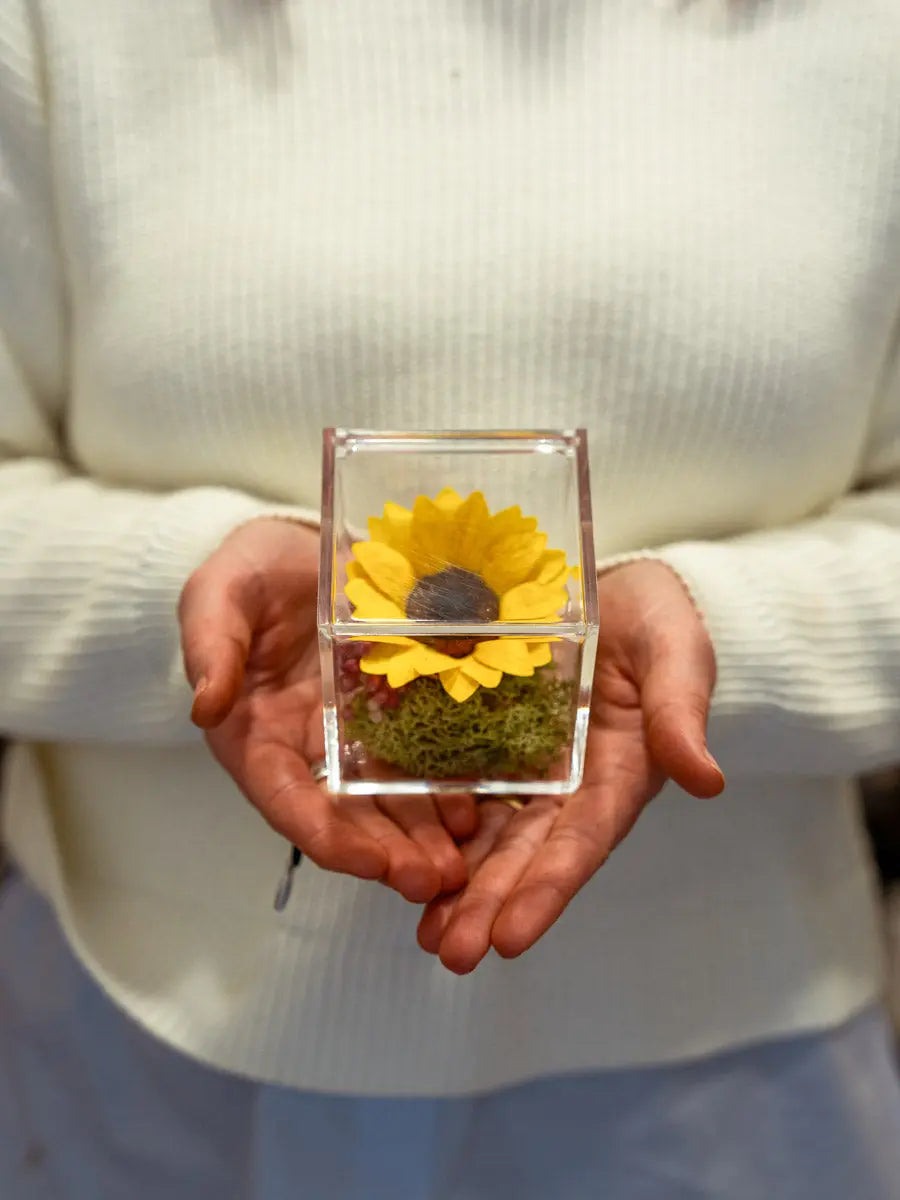 Girasole Stabilizzato in Box Emozioni