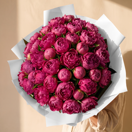 Mazzo di 50 peonie fucsia con carta bianca — Emozioni Fiori Torino