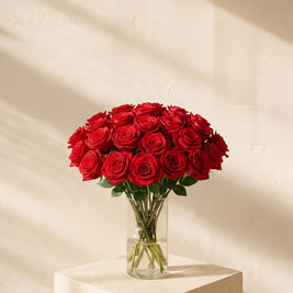Mazzo di 50 rose rosse nel vaso — Torino