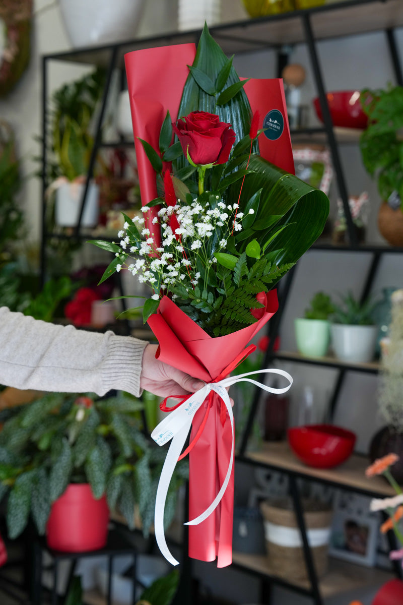 Rose Rosse Confezionate – scegli da 1 a 12 Rose | Consegna a Torino