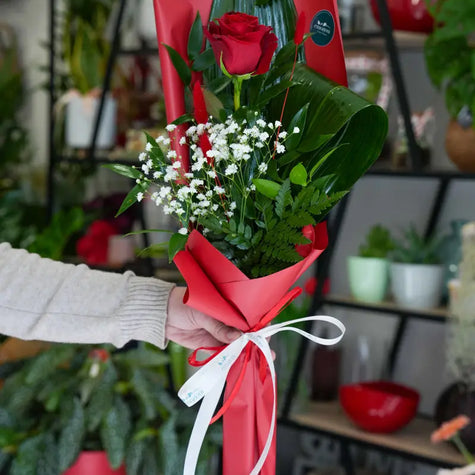 Rose Rosse Confezionate – scegli da 1 a 12 Rose | Consegna a Torino Emozioni